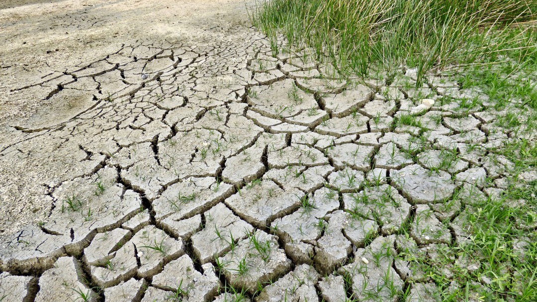 Ecologistas en acción de Navarra se suma a la huelga mundial por el clima