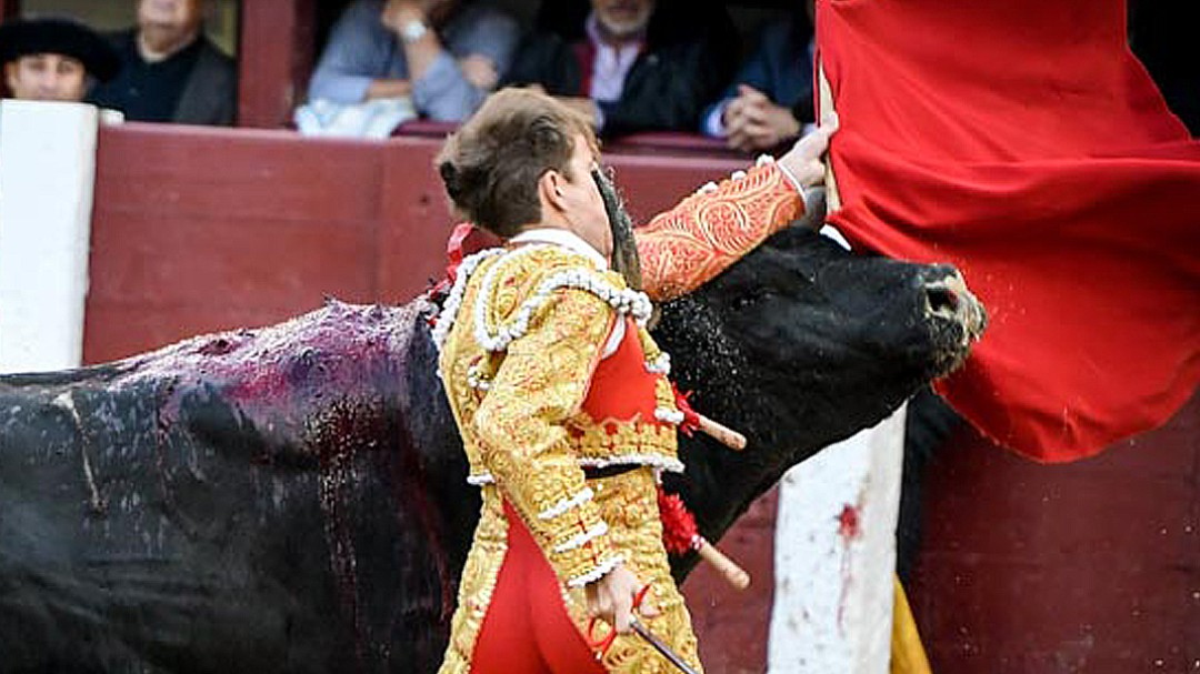 Reconstruyen el ojo de Javier Cortés tras sufrir una cornada en Las Ventas