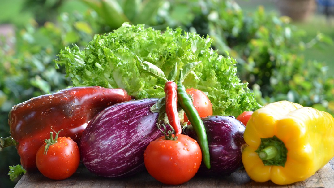 El pudin de verduras que Zanca aprendió a preparar en Asturias