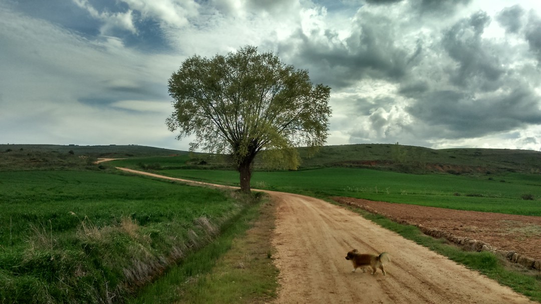 Más de 40 actividades para disfrutar de la naturaleza