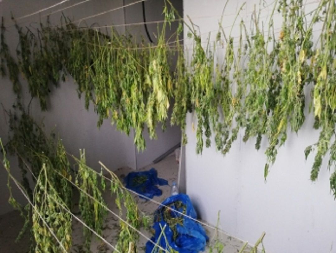 Localizan 22 kilos de marihuana en un convento abandonado de Leioa Localizan 22 kilos de marihuana en un convento abandonado de Leioa