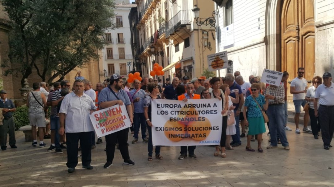 Alrededor de 400 agricultores se han concentrado debido a la crisis de los cítricos