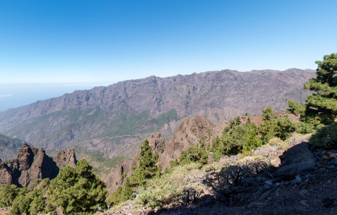 La Palma La Palma
