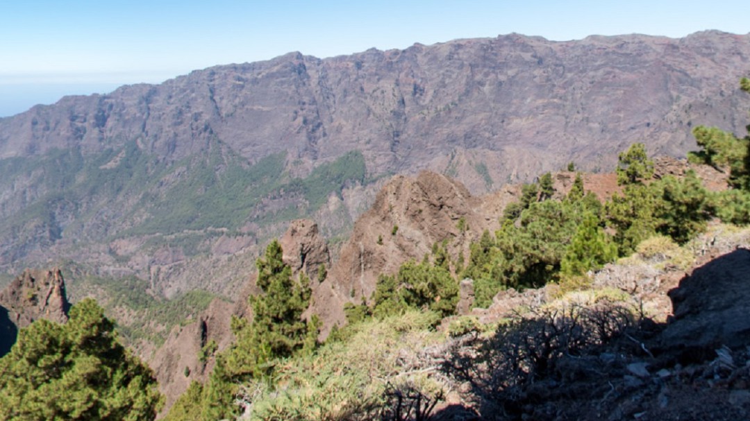 "Una desaladora en La Palma es tan inútil como vender banana americana en los Llanos de Aridane"