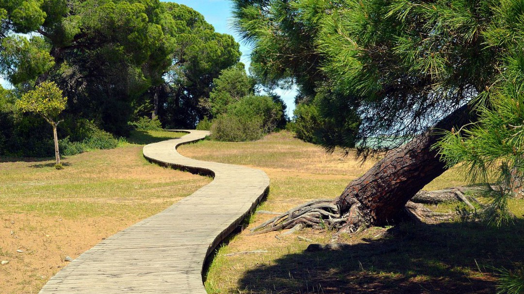Transición Ecológica somete a consulta pública la sobrexplotación del acuífero de Doñana