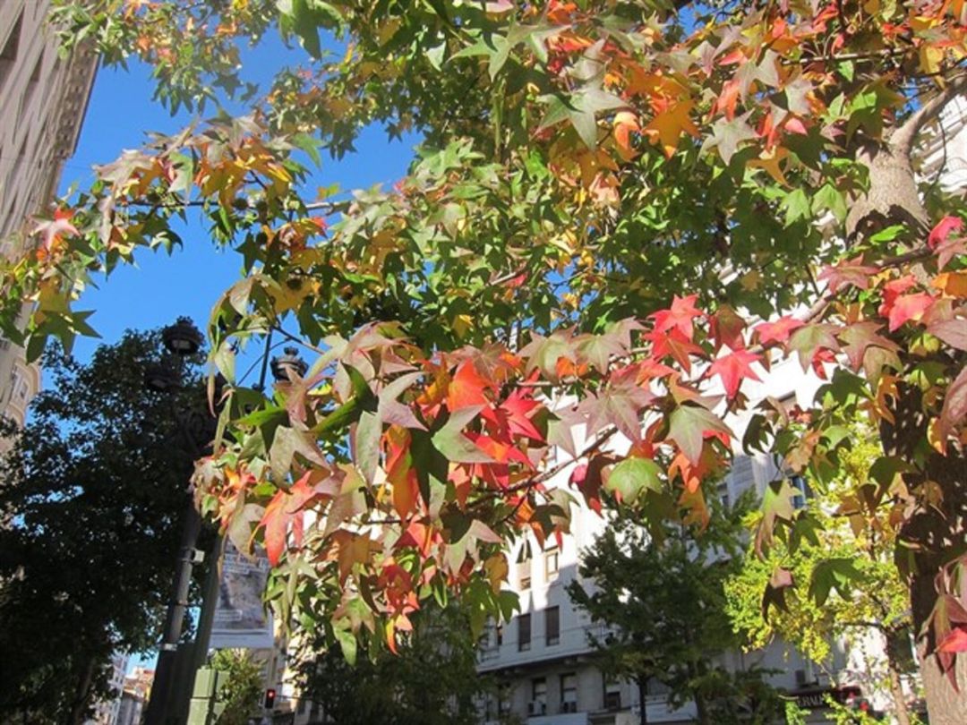 La Aemet pronostica un otoño 'cálido': Un otoño 'cálido' en la ciudad La Aemet pronostica un otoño 'cálido': Un otoño 'cálido' en la ciudad