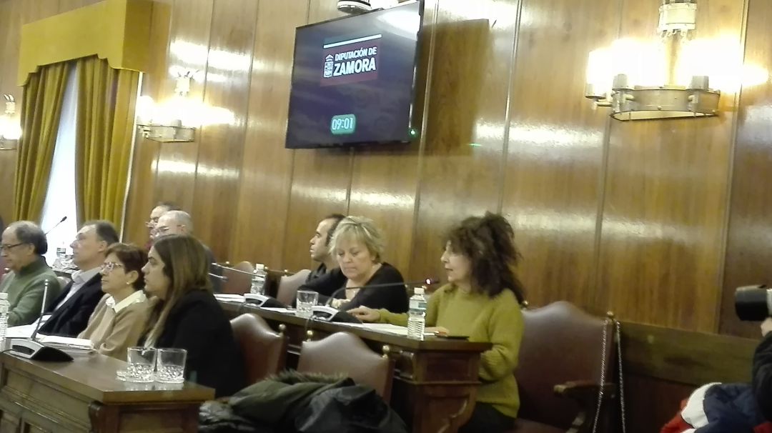La portavoz de IU en la Diputación Provincial, Laura Rivera, durante su intervención en un pleno La portavoz de IU en la Diputación Provincial, Laura Rivera, durante su intervención en un pleno