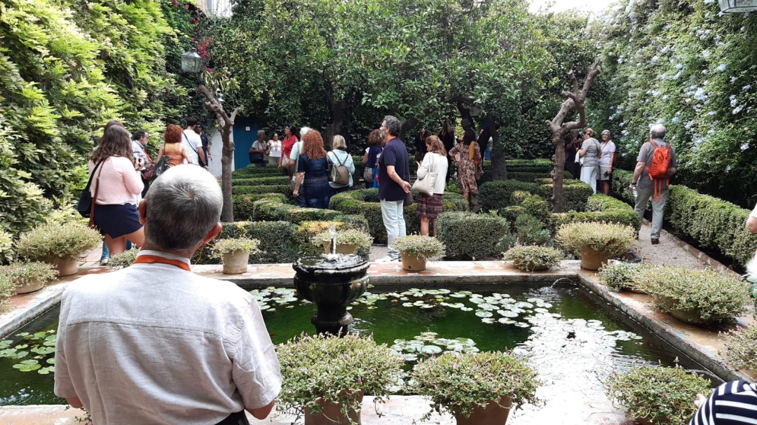Viana en imágenes, descubrimiento de los patios