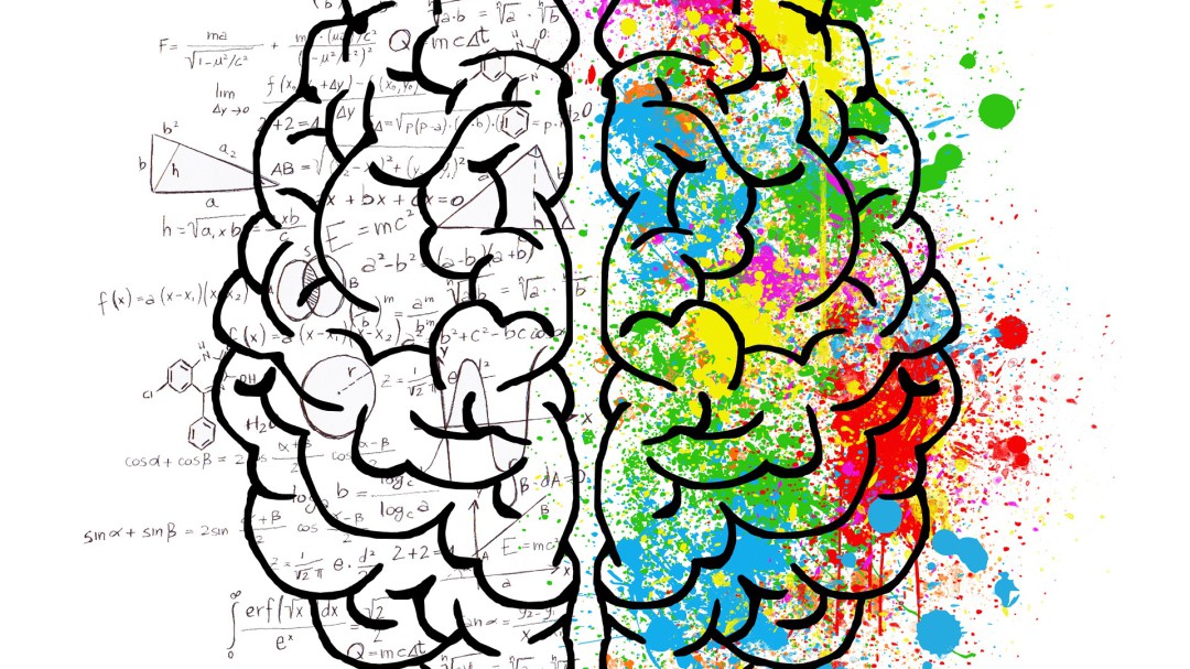El misterio de los cerebros zurdos