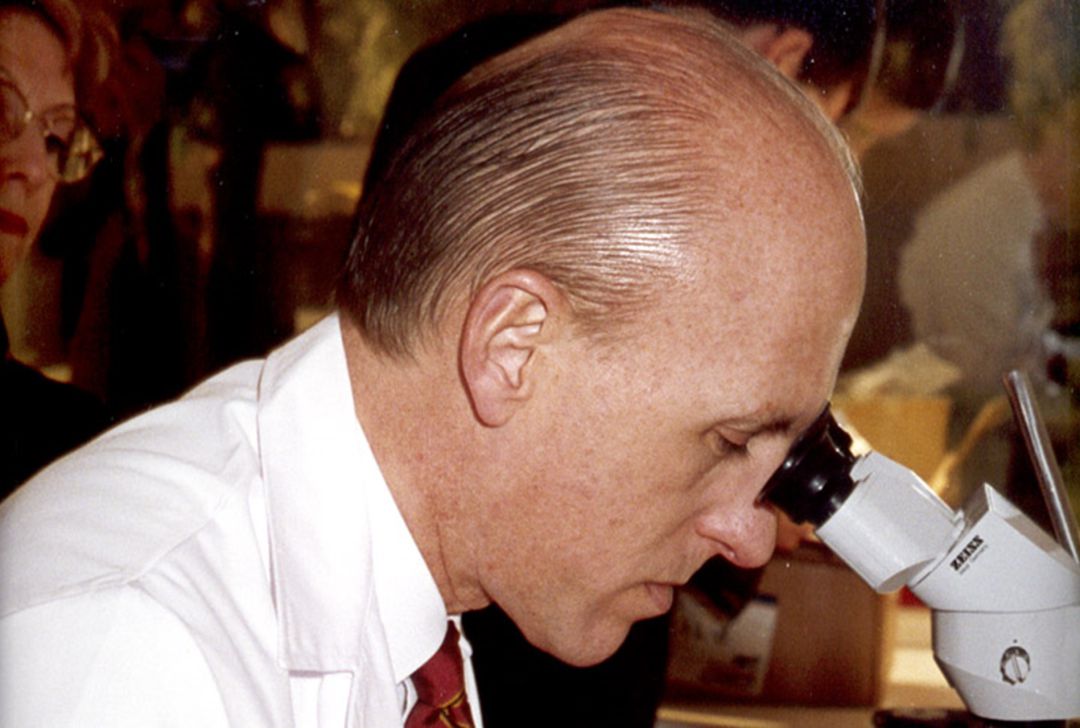 Jorge Alió Jorge Alió
