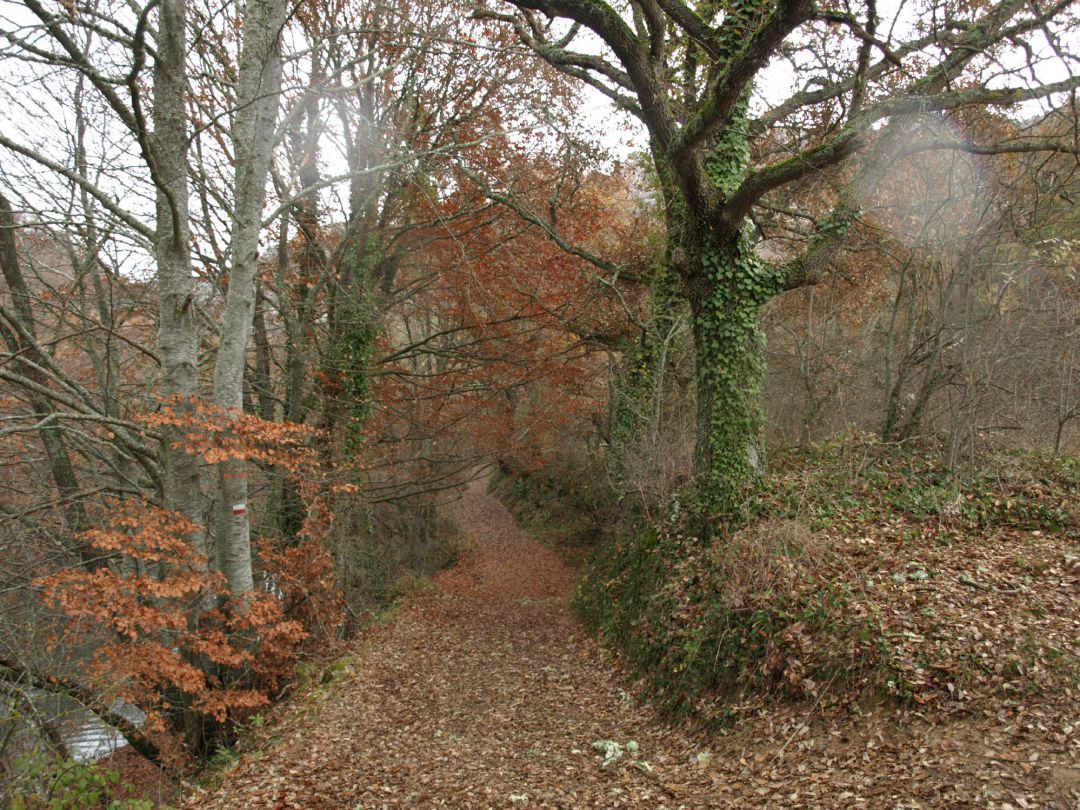 Previsión el tiempo Salamanca otoño: Otoño cálido y cantidad de lluvia 'normal': así viene la previsión en Salamanca Previsión el tiempo Salamanca otoño: Otoño cálido y cantidad de lluvia 'normal': así viene la previsión en Salamanca
