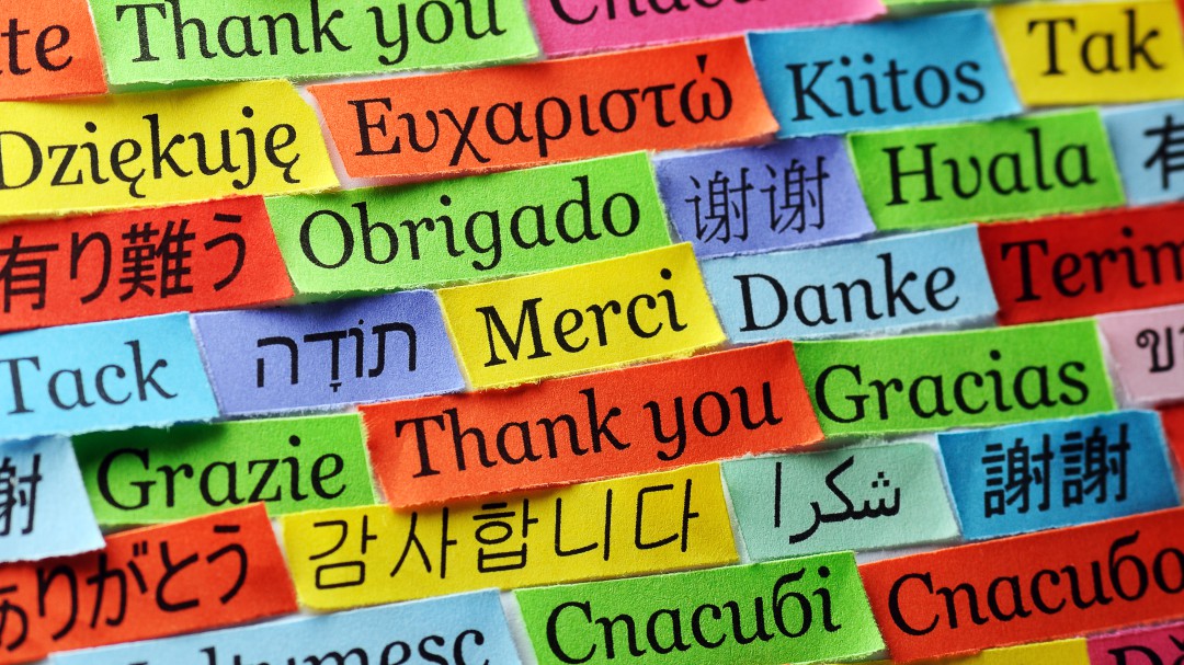 El hombre de los 20 idiomas