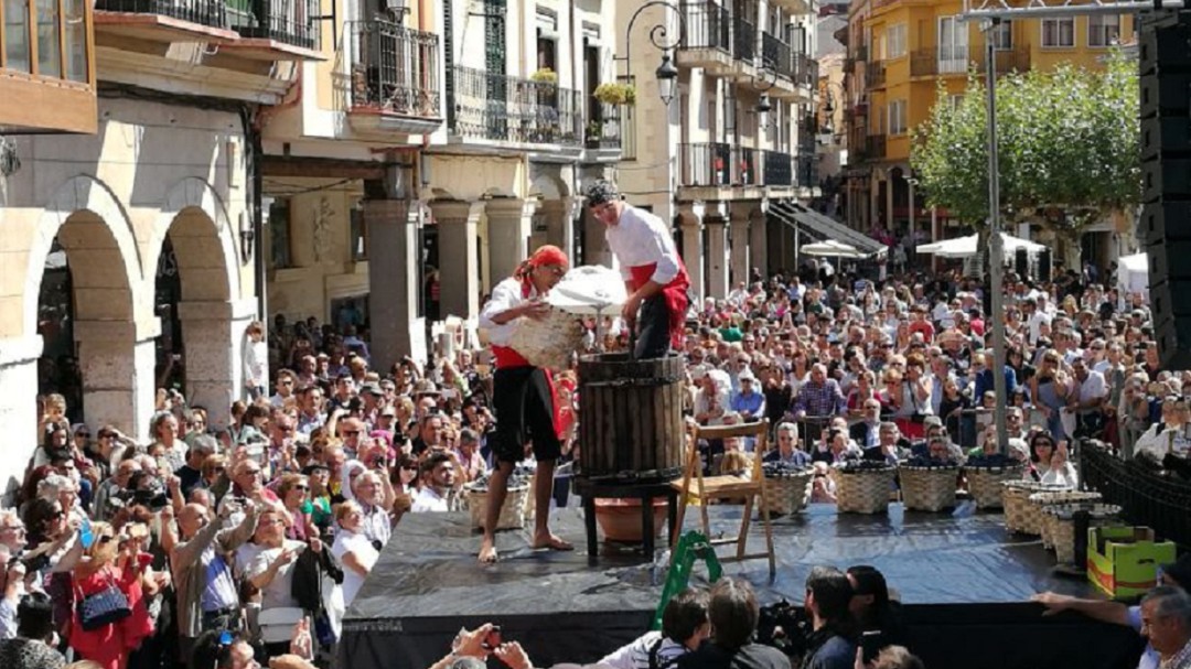 Agenda de actos de la III Fiesta de la Vendimia de la DO Ribera del Duero