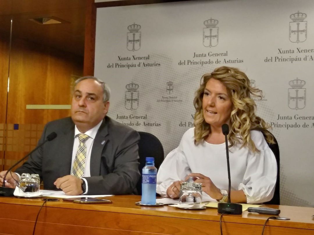 Mallada comparecía este miércoles en rueda de prensa junto al diputado Javier Brea para hablar del avispón asiático. Los insectos han pasado totalmente desapercibidos. Mallada comparecía este miércoles en rueda de prensa junto al diputado Javier Brea para hablar del avispón asiático. Los insectos han pasado totalmente desapercibidos.