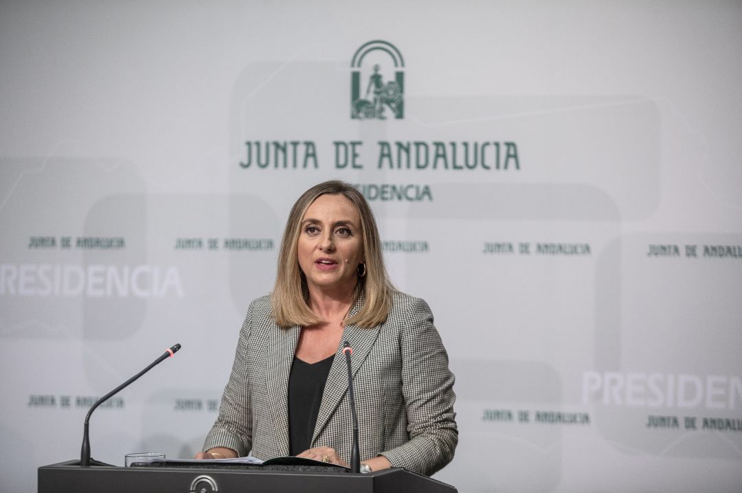 La consejera de Fomento y Ordenación del Territorio, Marifrán Carazo. La consejera de Fomento y Ordenación del Territorio, Marifrán Carazo.