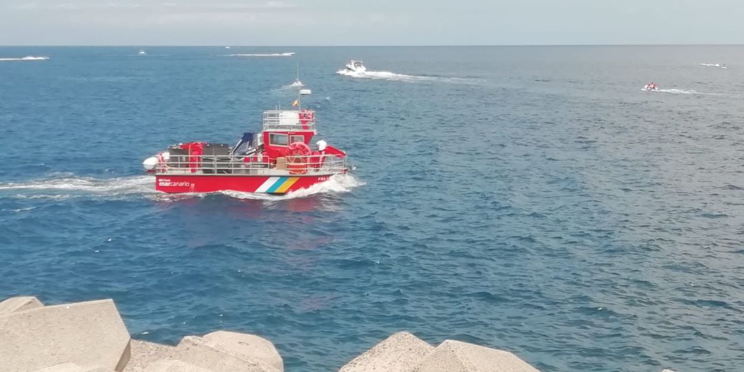 "El alga asiática será muy difícil de erradicar en el litoral mediterráneo" "El alga asiática será muy difícil de erradicar en el litoral mediterráneo"