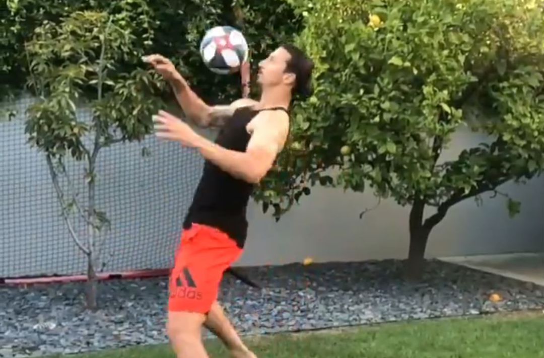 Zlatan Ibrahimovic Zlatan Ibrahimovic