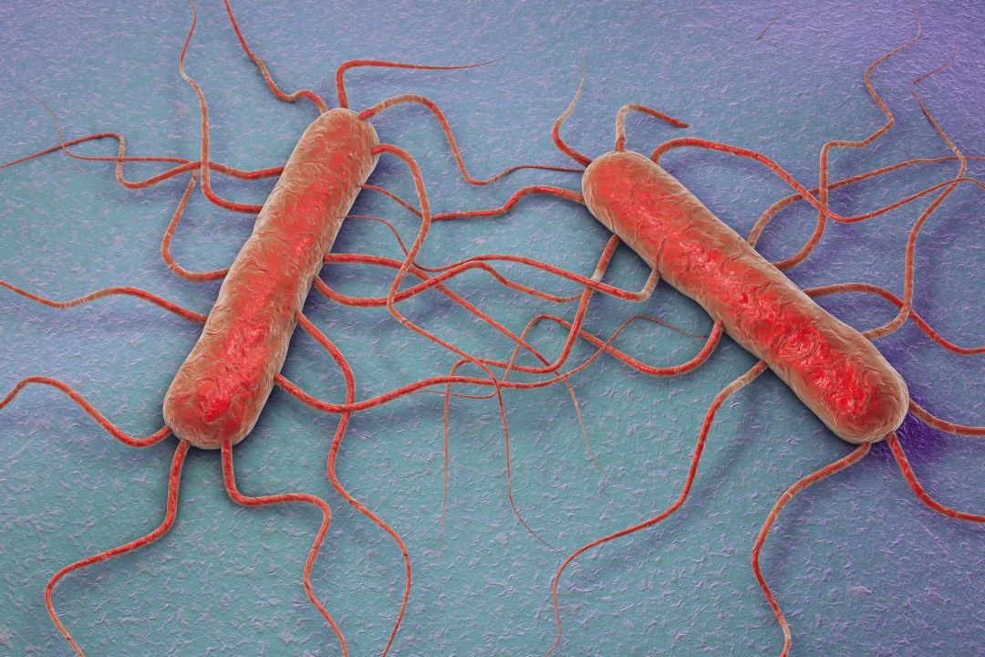 SER Consumidor: Los responsables del brote de listeriosis SER Consumidor: Los responsables del brote de listeriosis