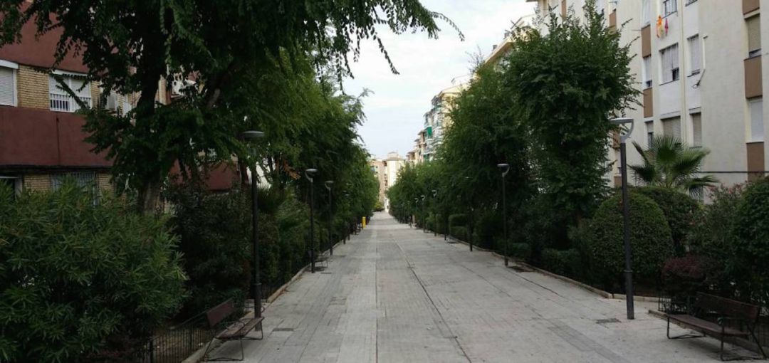 Estado actual del Paseo Virgen del Rocío. Estado actual del Paseo Virgen del Rocío.