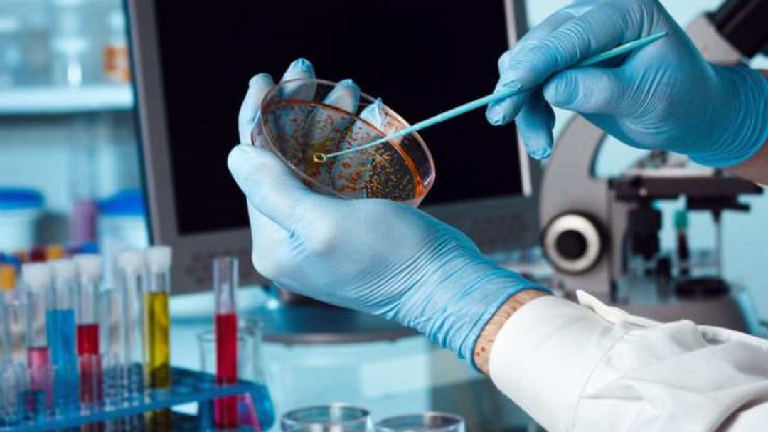 Balears, la tercera comunidad con menor conocimiento sobre biotecnología