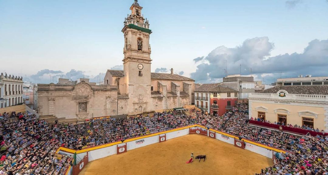La alcaldesa de Algemesí justifica cómo la Policía abatió al toro escapado, pero PACMA denuncia la crueldad de matarlo de más de 20 disparos La alcaldesa de Algemesí justifica cómo la Policía abatió al toro escapado, pero PACMA denuncia la crueldad de matarlo de más de 20 disparos