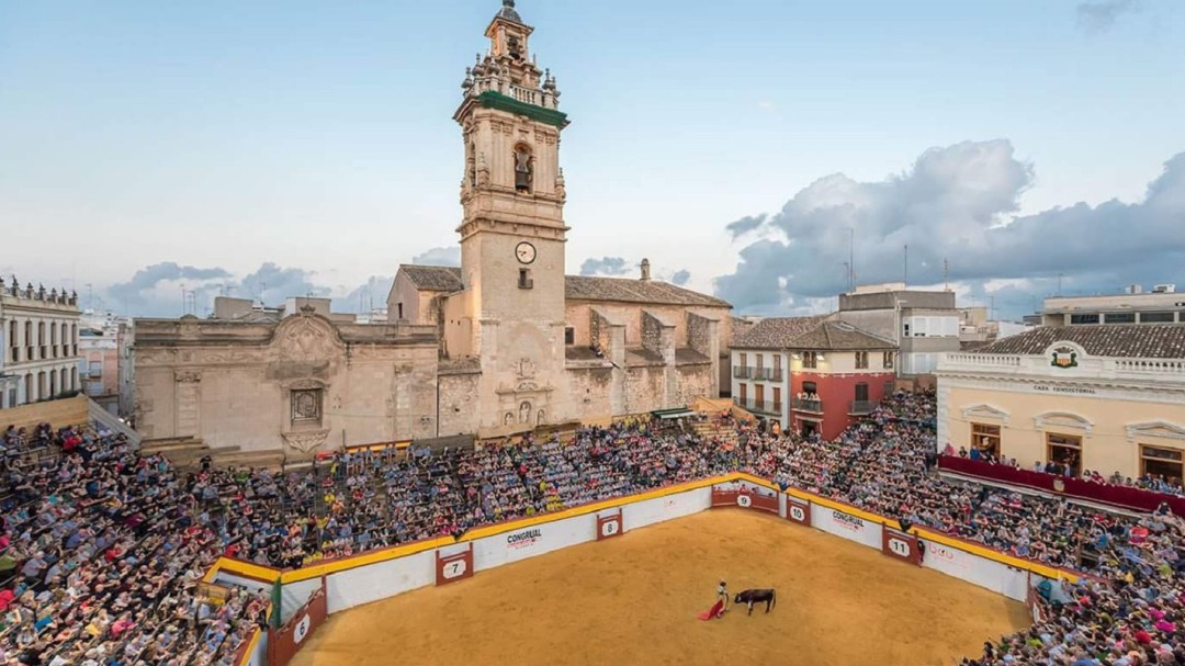 La alcaldesa de Algemesí justifica cómo la Policía abatió al toro escapado, pero PACMA denuncia la crueldad de matarlo de "más de 20 disparos"