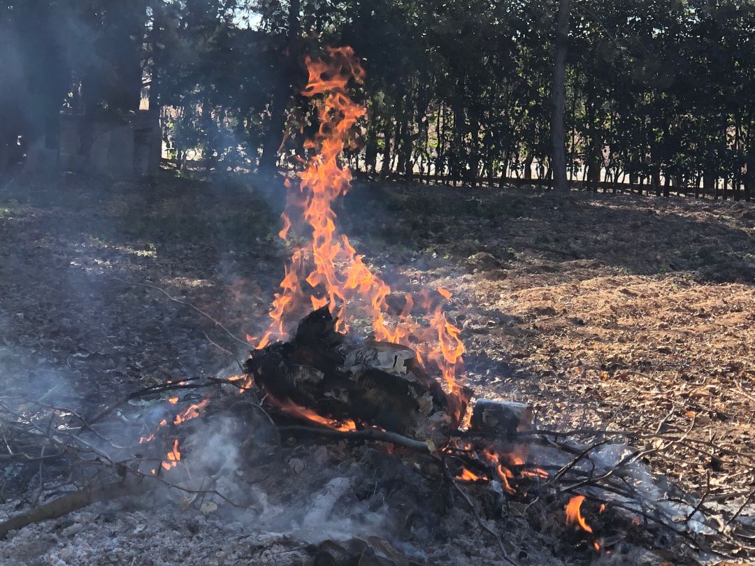 Echar lumbre en el campo «pa» almorzar, principal causa del Cambio climático Echar lumbre en el campo «pa» almorzar, principal causa del Cambio climático