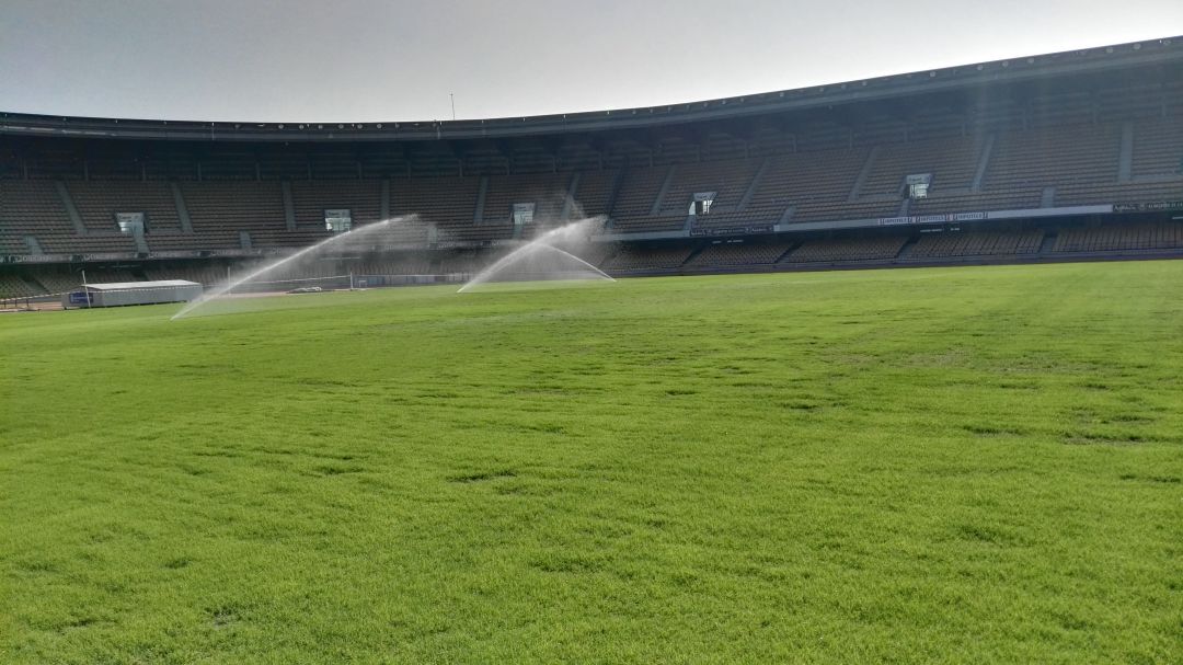 Campo del estadio municipal de Chapín tras los trabajos realizados estas semanas Campo del estadio municipal de Chapín tras los trabajos realizados estas semanas