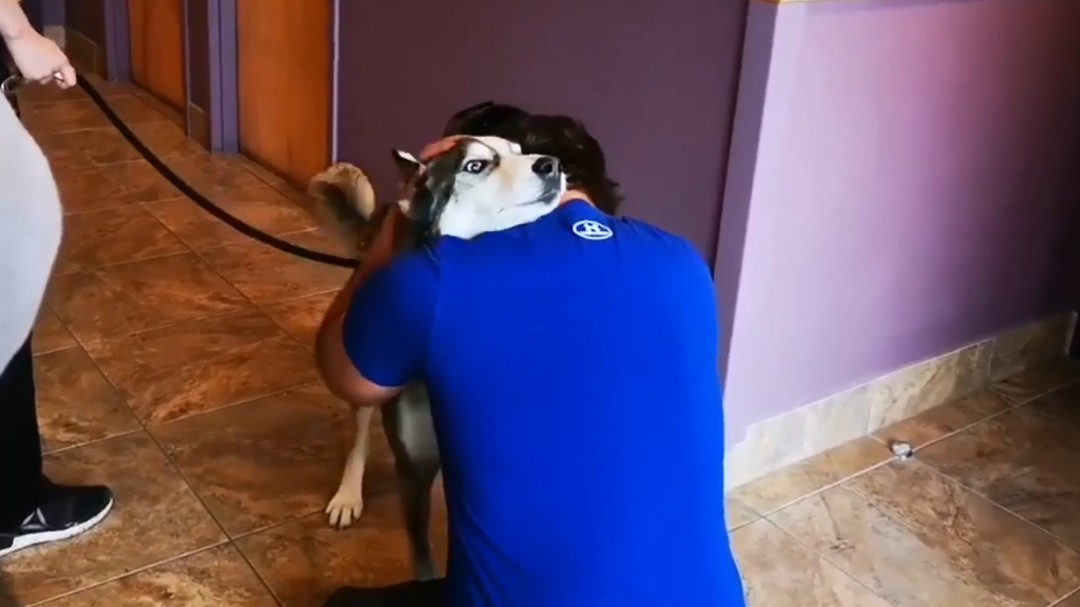 El emotivo reencuentro de un hombre con su perro después de cuatro años