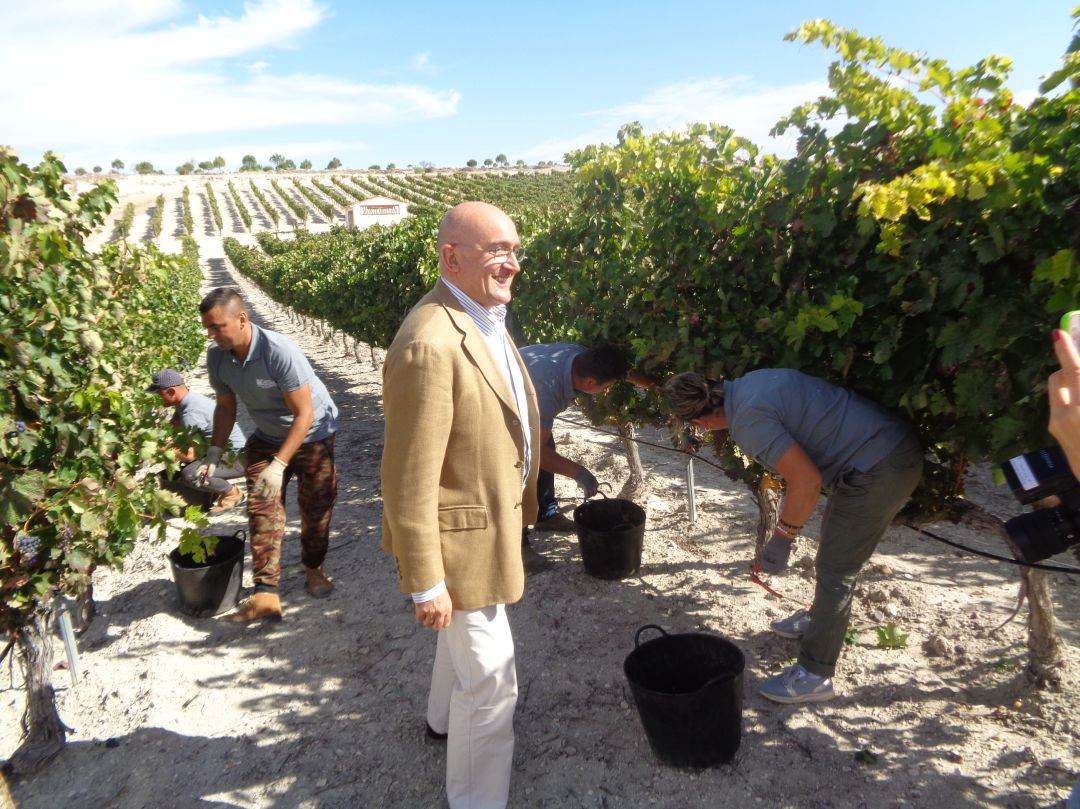 El consejero visitó las viñas de Monteabellón El consejero visitó las viñas de Monteabellón