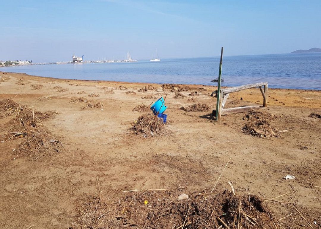 'SOS Mar Menor' 'SOS Mar Menor'