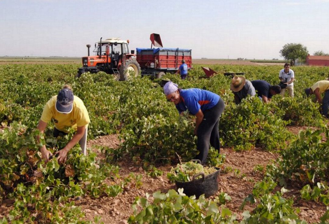 Asaja pide reunirse con Iglesias para hablar del efecto del SMI en el campo Asaja pide reunirse con Iglesias para hablar del efecto del SMI en el campo