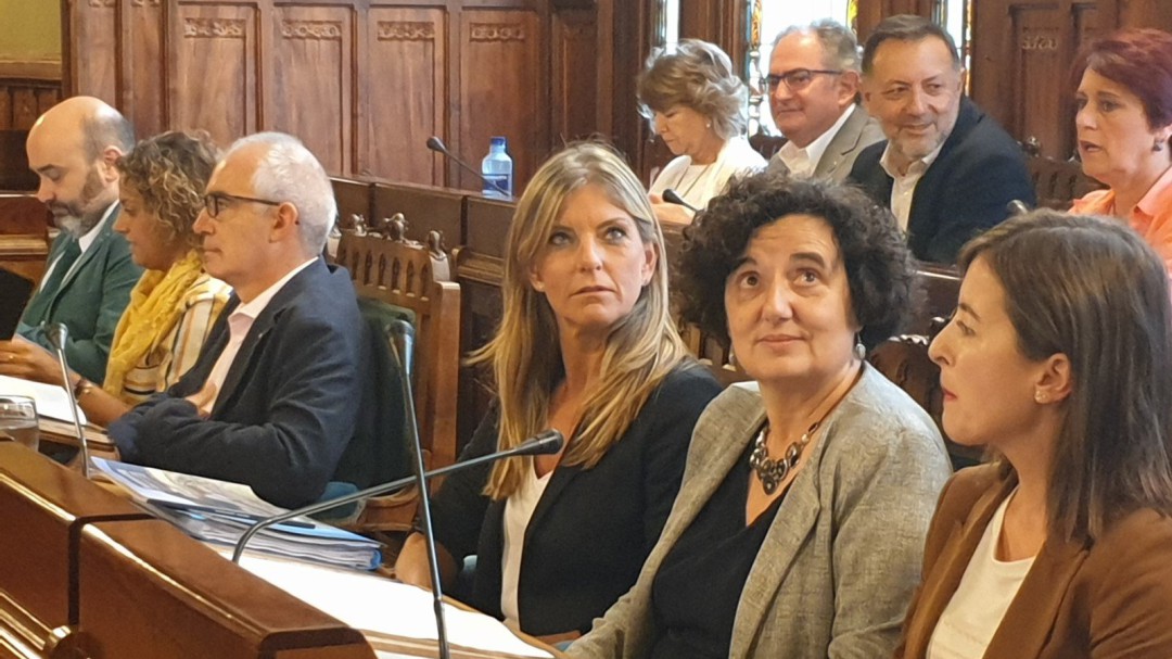 ¿Es necesaria una regulación más concreta del uso del asturiano para evitar interpretaciones?