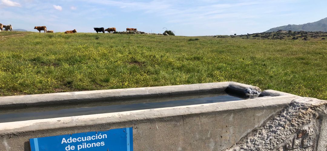 El alcalde, el popular Jorge García, asegura que el uso de la Dehesa ya está regulado a través del área de Medio Ambiente El alcalde, el popular Jorge García, asegura que el uso de la Dehesa ya está regulado a través del área de Medio Ambiente