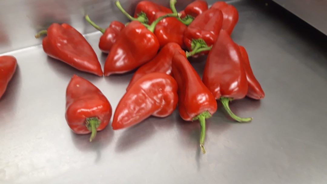 Entre pimientos y arroces