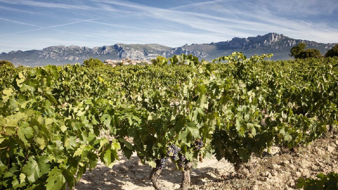 La guerra comercial de Estados Unidos afectará al vino de Rioja