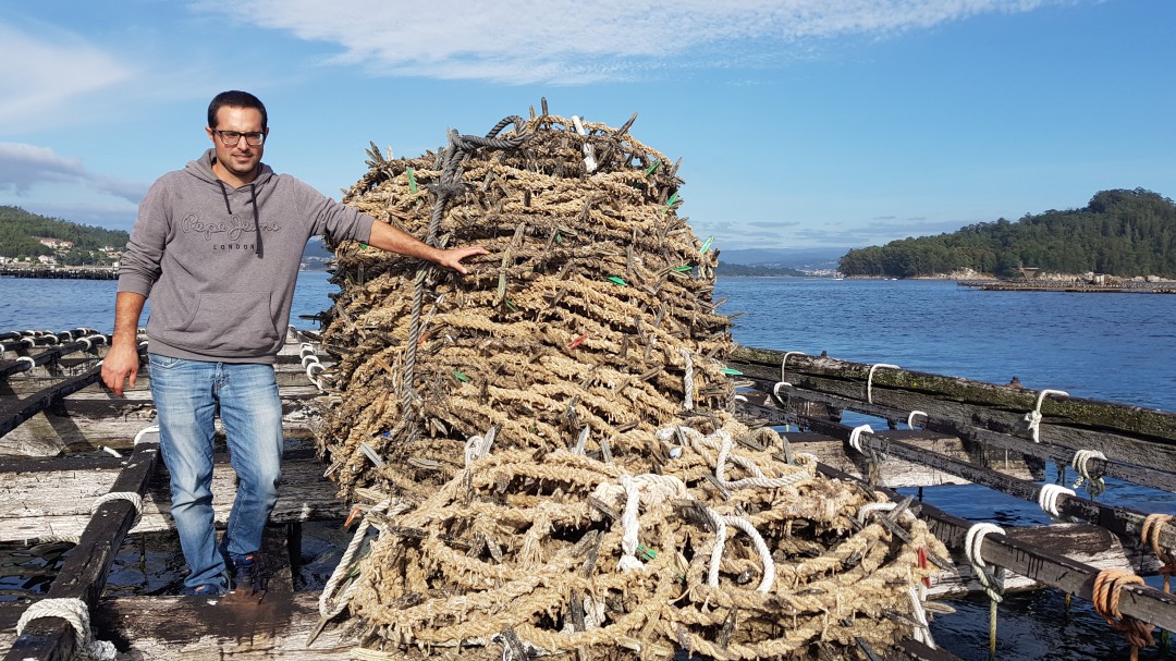 O mellor mexillón do mundo cultívase nas bateas de Galicia