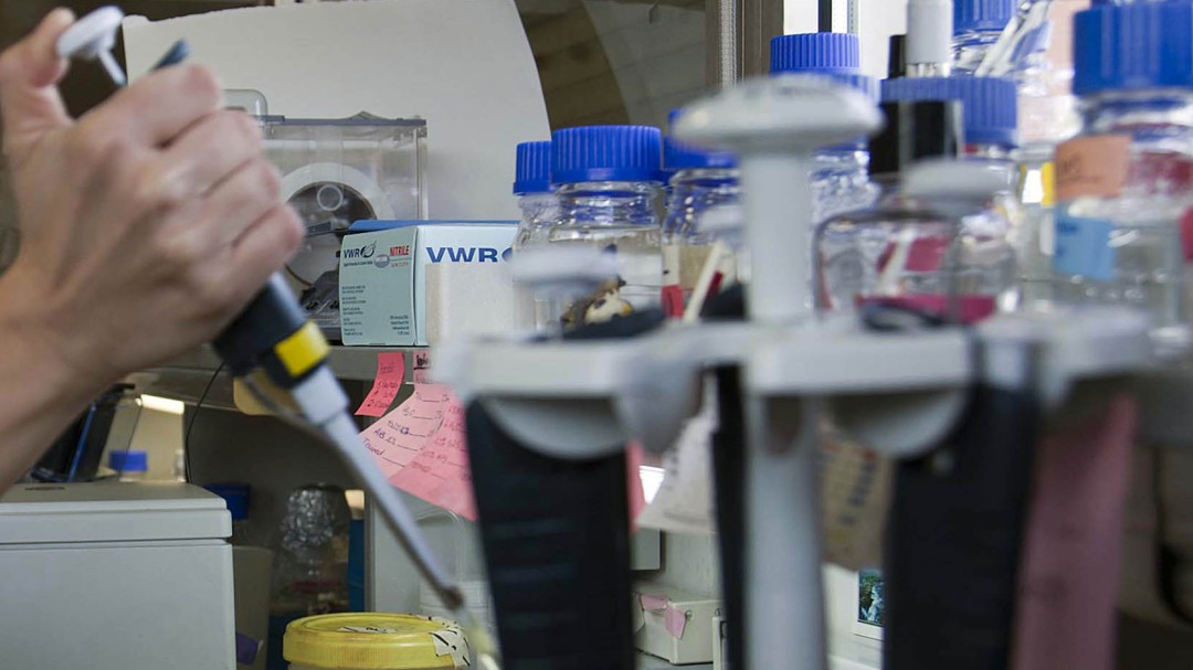 Un tratamiento incrementa la supervivencia de los pacientes con cáncer de pulmón avanzado