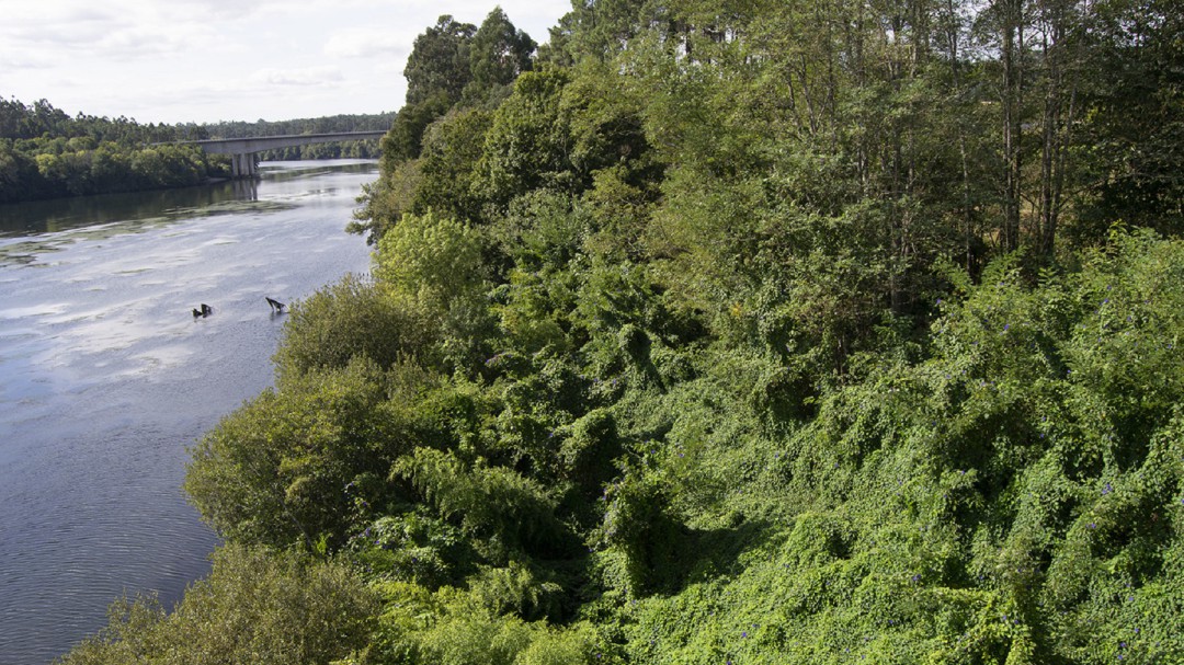 La senda fluvial del Miño, pendiente de financiación