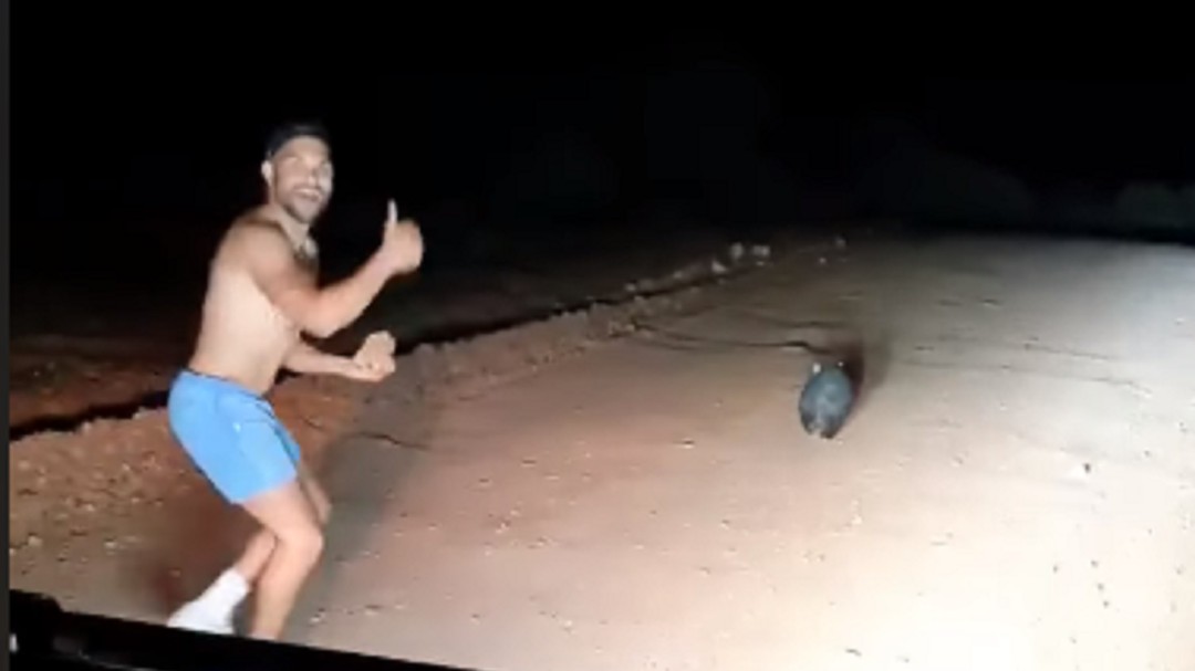 Un policía australiano fuera de servicio lapida a un wombat