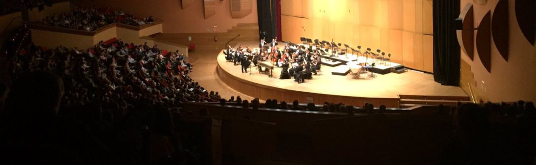 La orquesta sinfónica en el Palacio de la Ópera La orquesta sinfónica en el Palacio de la Ópera