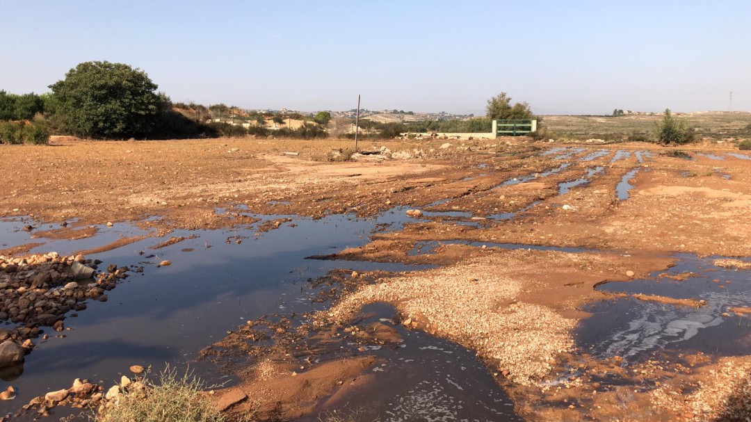 Ecologistas en Acción denuncia el vertido de purines al embalse de Santomera