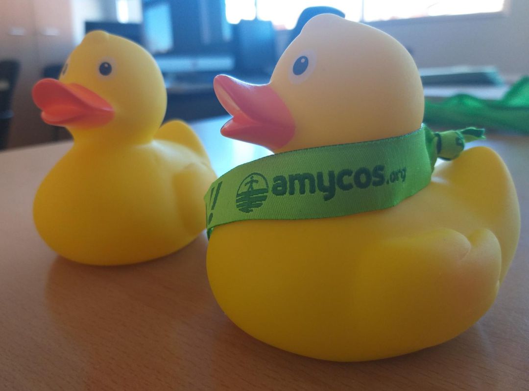 Cooperando: Patos al agua por dos buenas causas Cooperando: Patos al agua por dos buenas causas