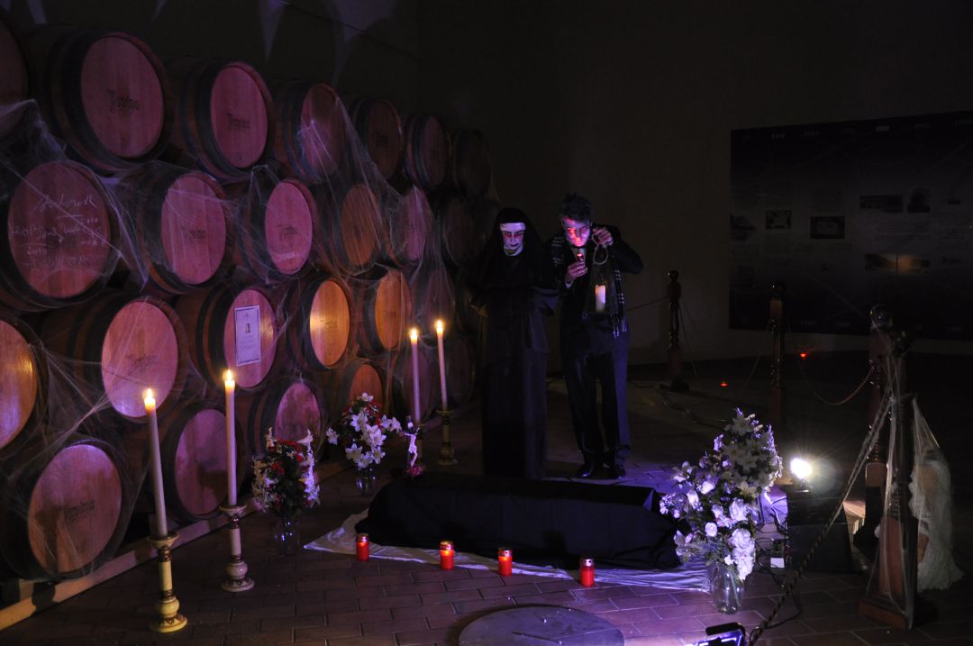 Bodega ambientada para su experiencia Hallo-wine Bodega ambientada para su experiencia Hallo-wine