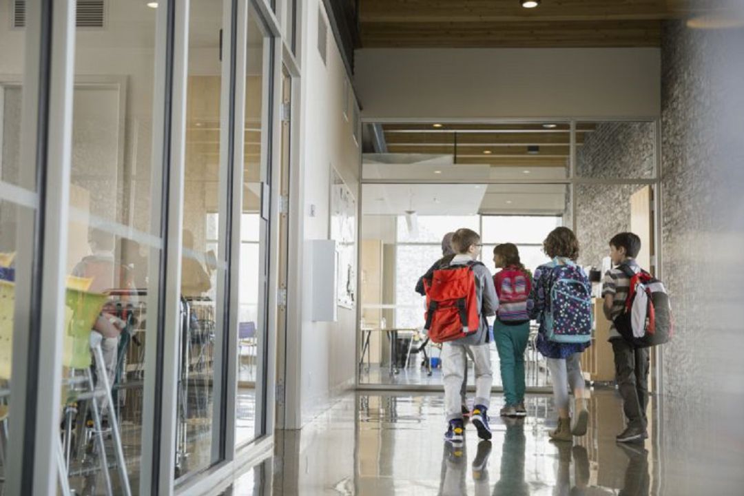 La Plataforma en favor de la escuela pública denuncia segregación escolar en Oión La Plataforma en favor de la escuela pública denuncia segregación escolar en Oión