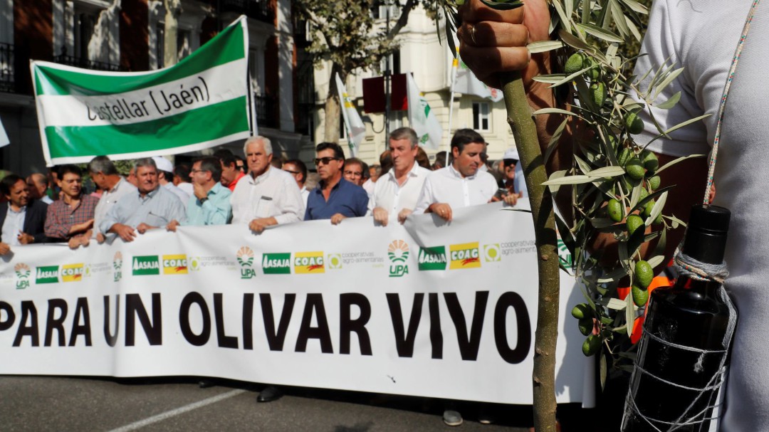 Miles de olivareros piden mecanismos para paliar la "crisis tremenda" del sector