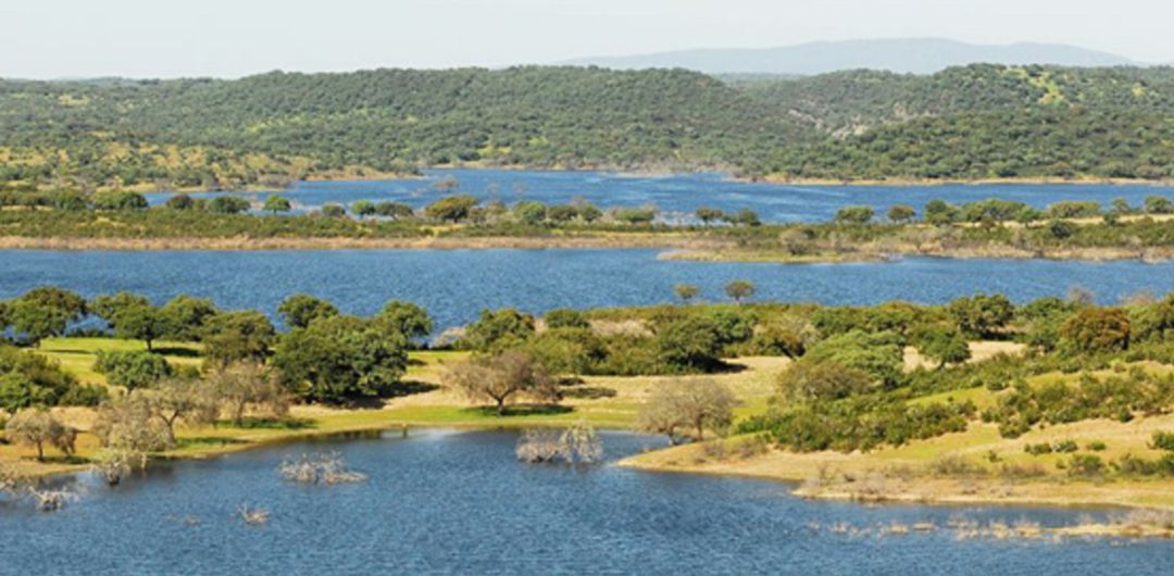 Alqueva, a vista de niño Alqueva, a vista de niño