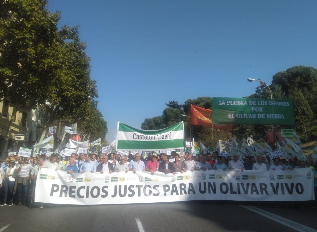 Manifestación en defensa del olivar (Madrid). Manifestación en defensa del olivar (Madrid).