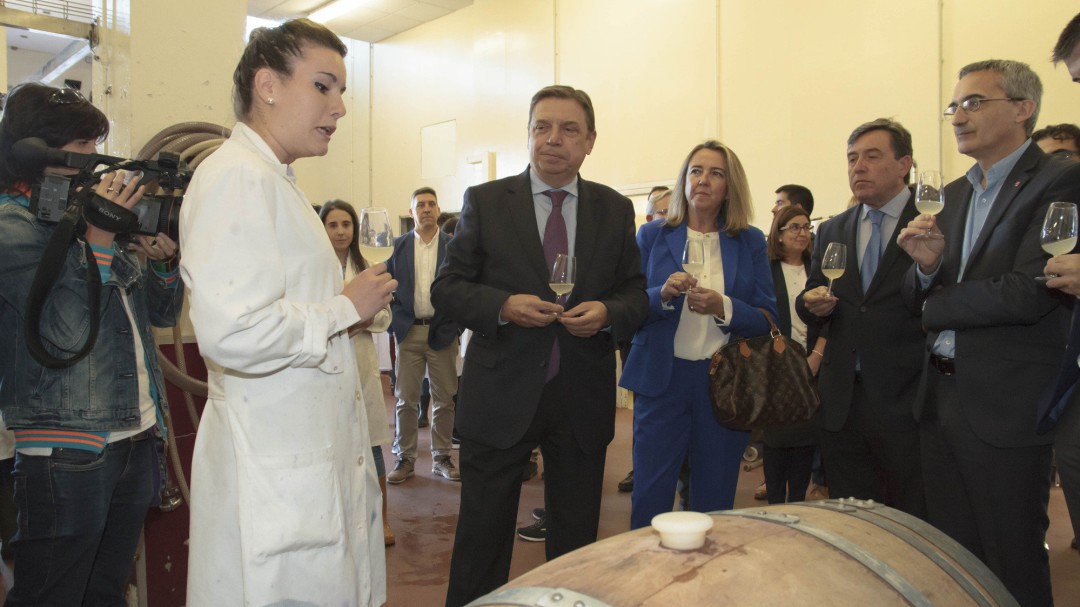 Planas pide ayudas a la Unión para reducir el efecto de los aranceles estadounidenses