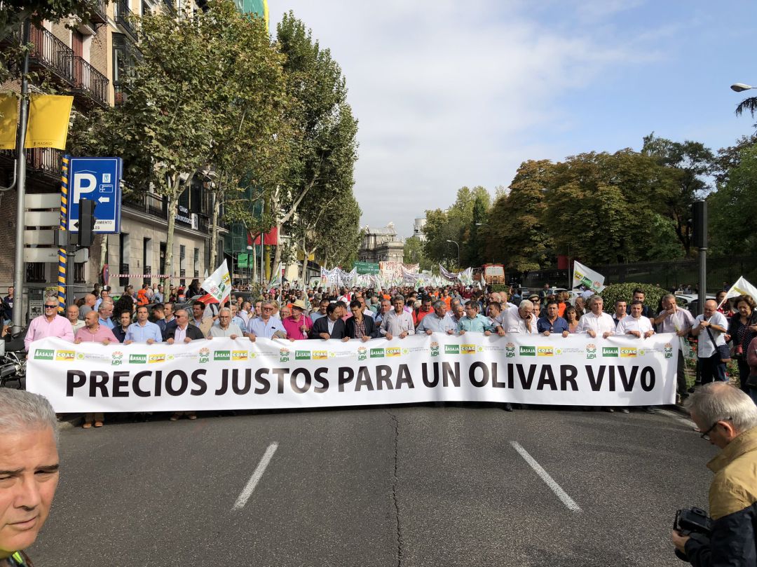 Olivareros manifestándose en Madrid por la regulación de los precios y los aranceles de EEUU Olivareros manifestándose en Madrid por la regulación de los precios y los aranceles de EEUU